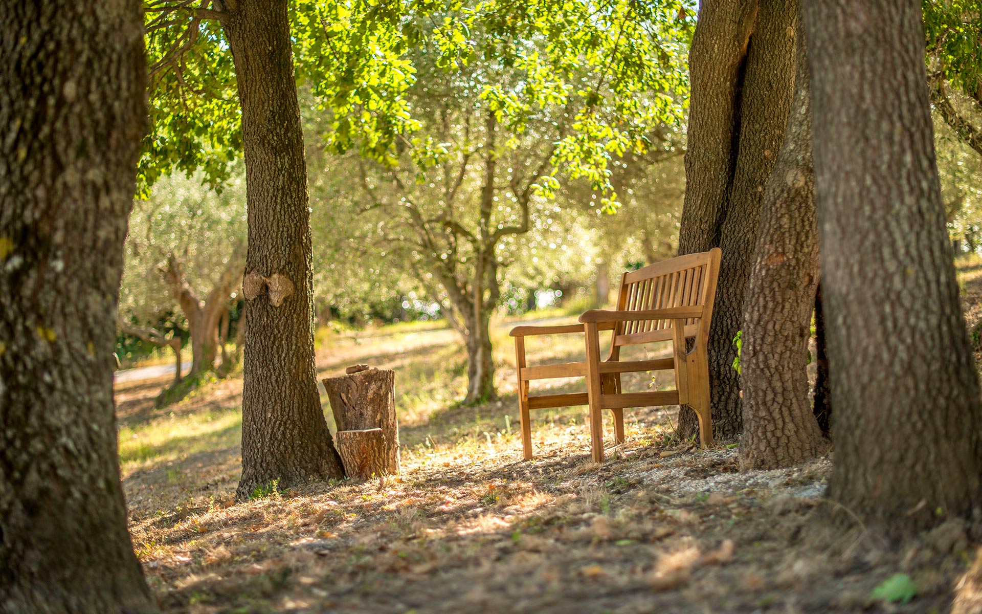 Natura e Relax